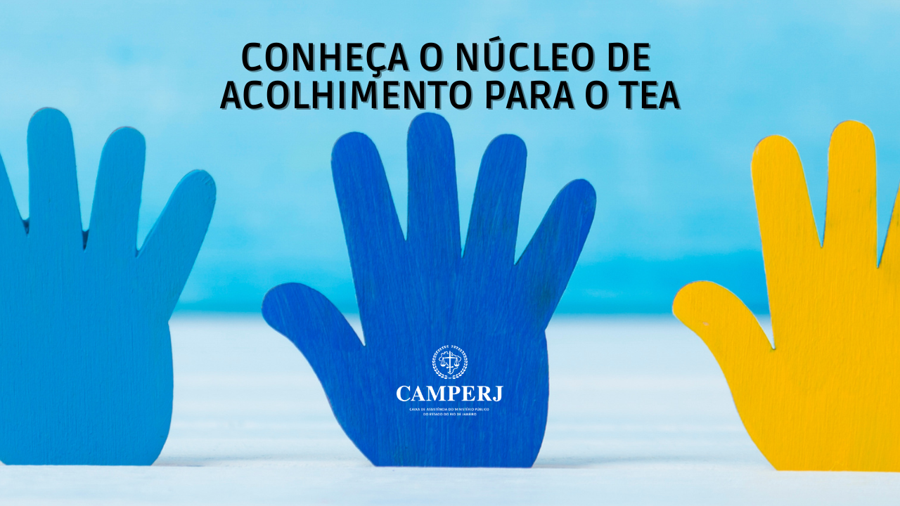 Núcleo de Atendimento para o TEA